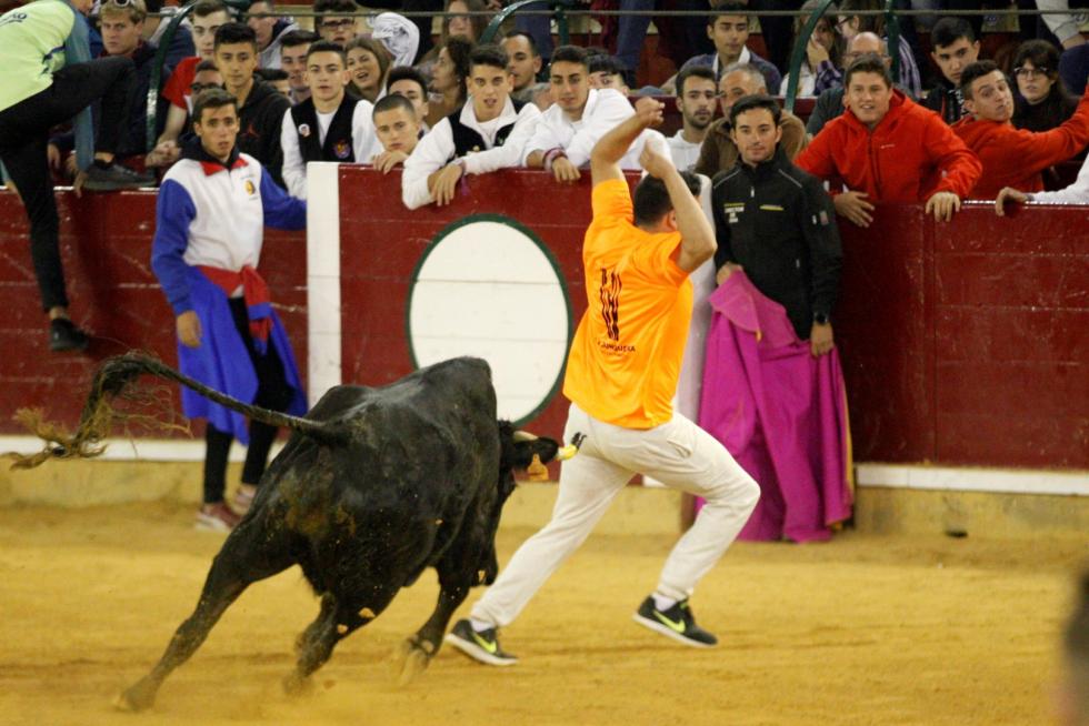 Ganaderías de la tierra para la 4ª jornada de vaquillas de las fiestas del Pilar.