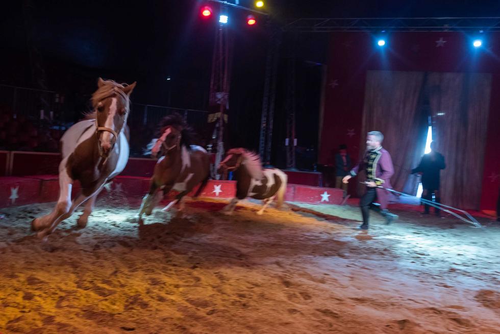 Imágenes de Zoorprendente, el Circo de los Animales, en las Fiestas del Pilar 2019 de Zaragoza