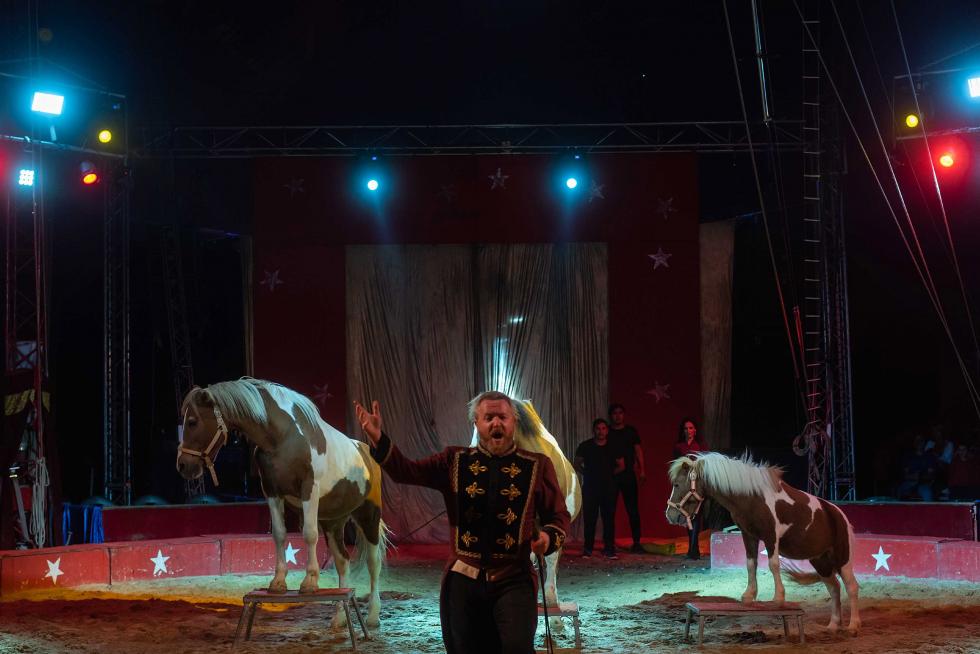 Imágenes de Zoorprendente, el Circo de los Animales, en las Fiestas del Pilar 2019 de Zaragoza