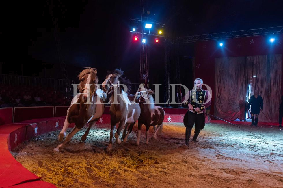 Circo Zoorprendente en Zaragoza