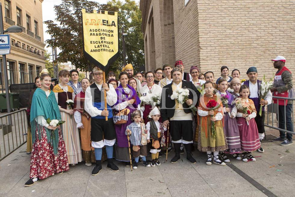GRUPO ARAELA