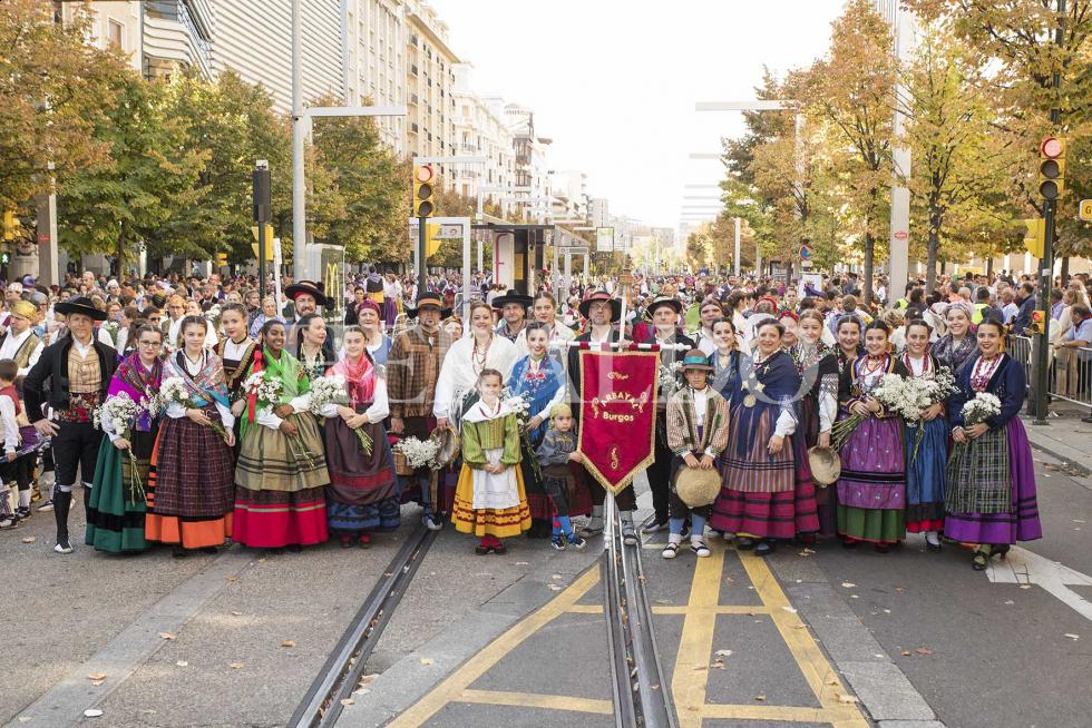 GRUPO ARBAYAL
