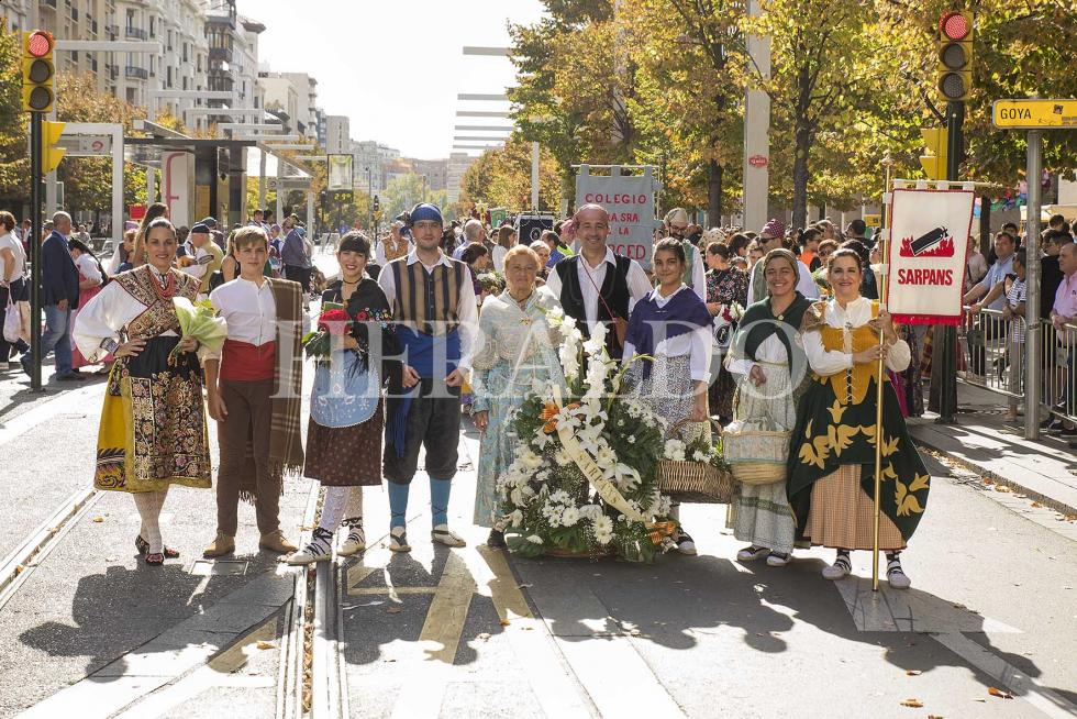 GRUPO SARPANS