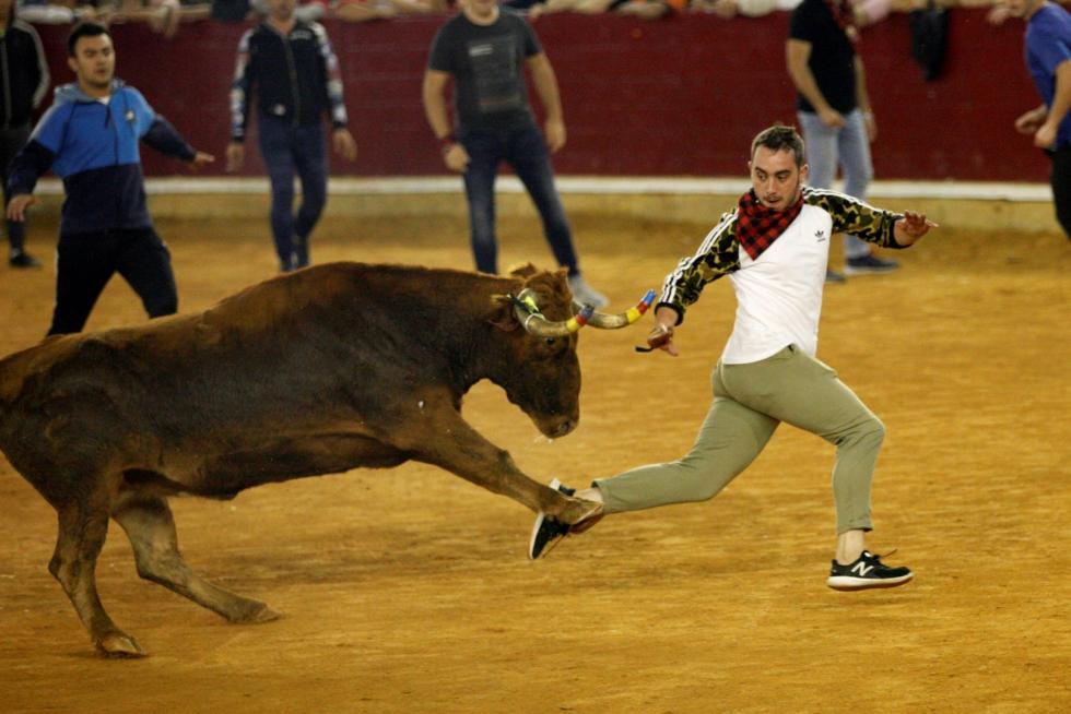 Séptima mañana de vaquillas.