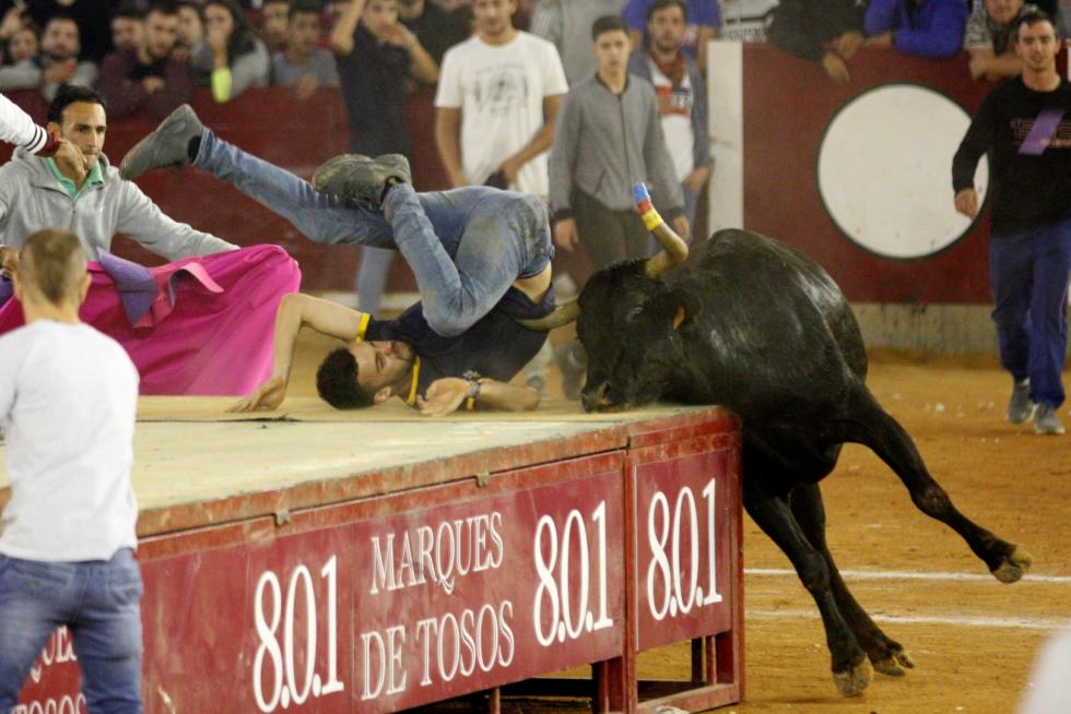 Séptima mañana de vaquillas.