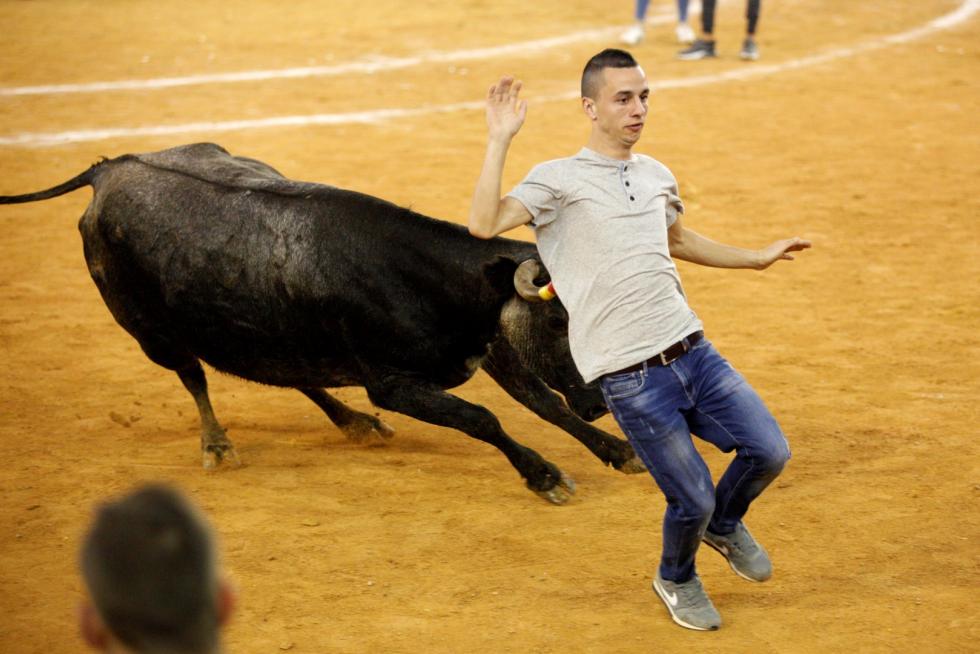 Séptima mañana de vaquillas.