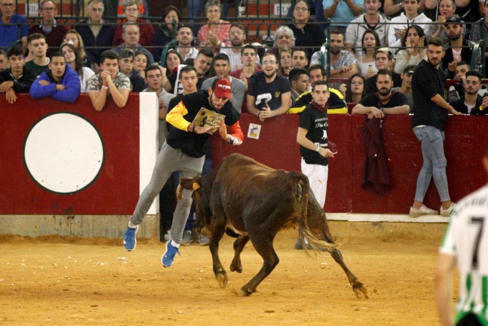 Séptima mañana de vaquillas.