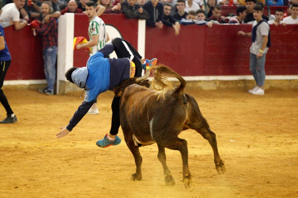 Séptima mañana de vaquillas.