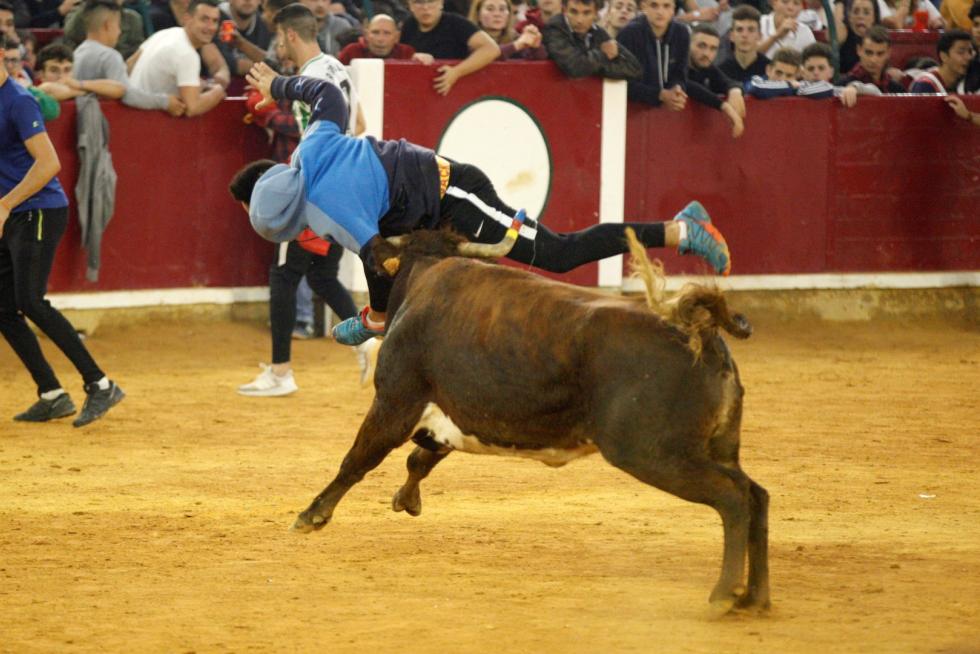 Séptima mañana de vaquillas.