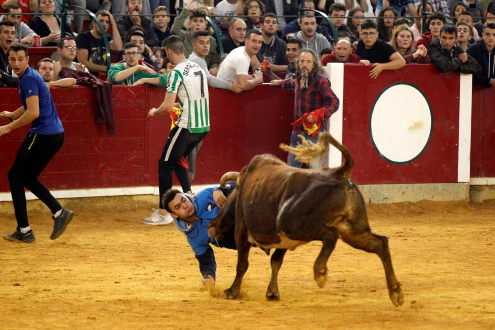 Séptima mañana de vaquillas.