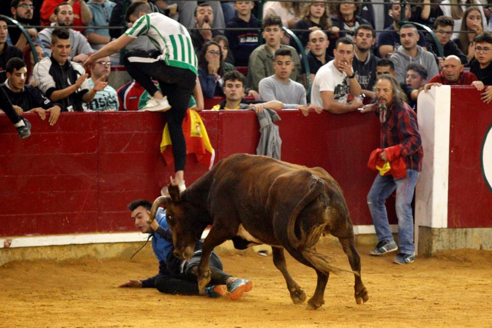 Séptima mañana de vaquillas.