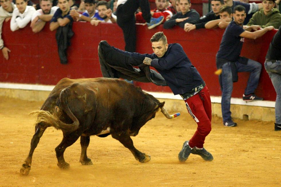 Séptima mañana de vaquillas.