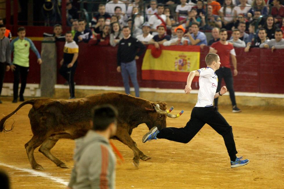 Séptima mañana de vaquillas.