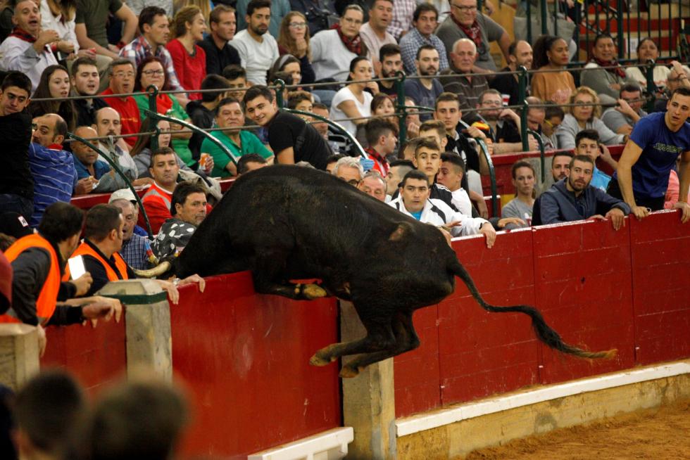 Séptima mañana de vaquillas.