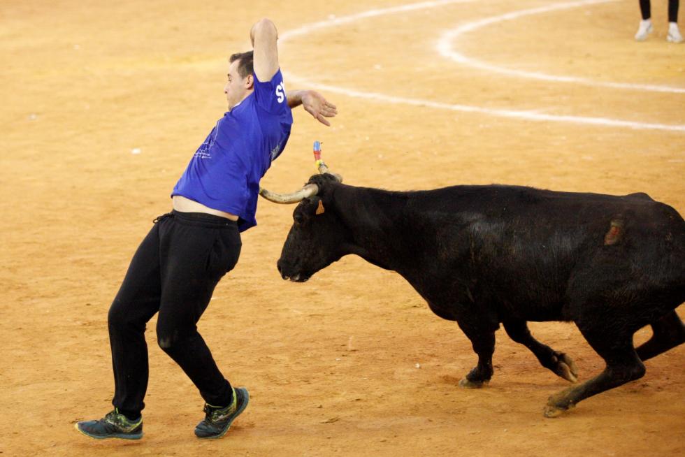 Séptima mañana de vaquillas.