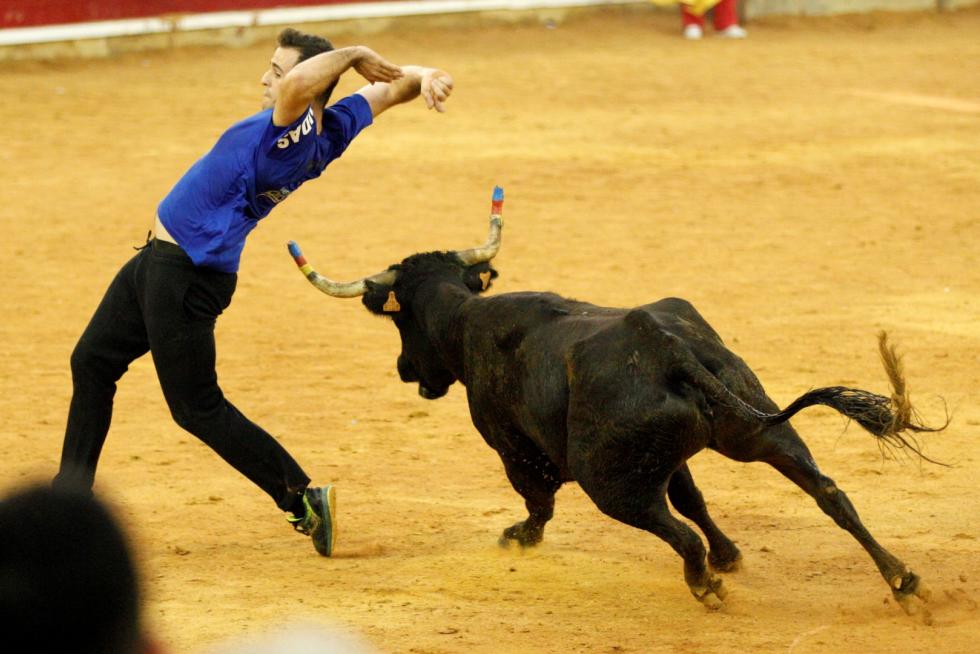 Séptima mañana de vaquillas.