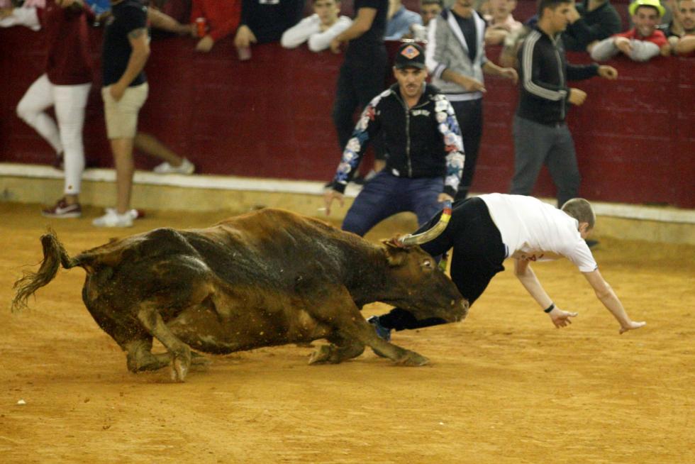 Séptima mañana de vaquillas.