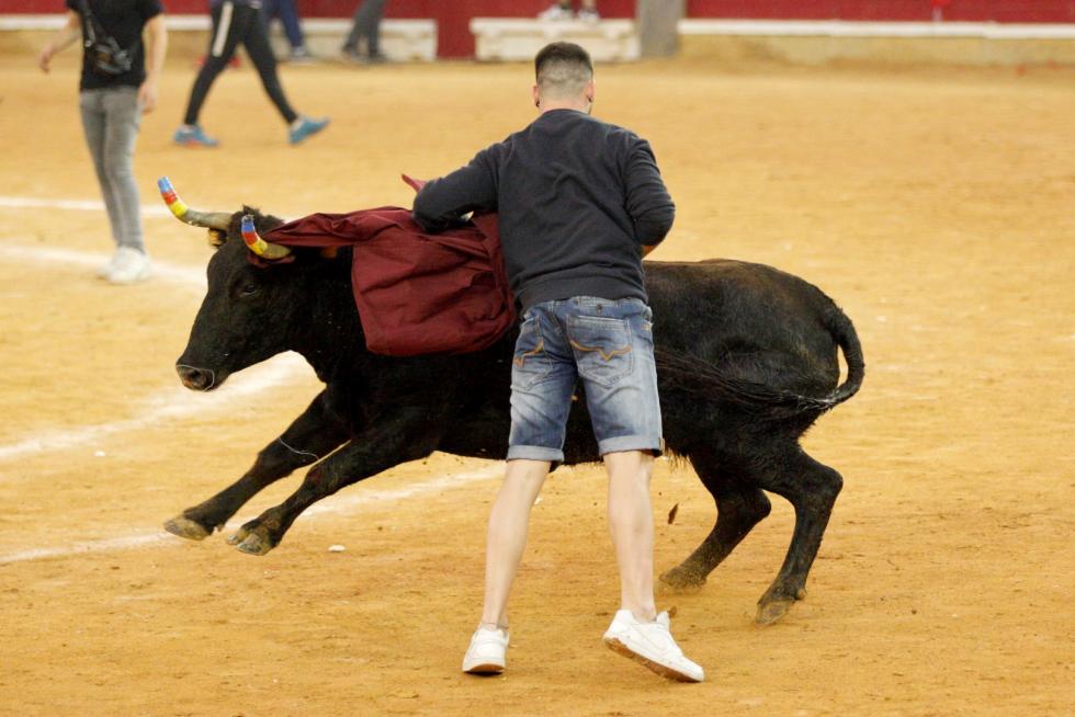 Séptima mañana de vaquillas.