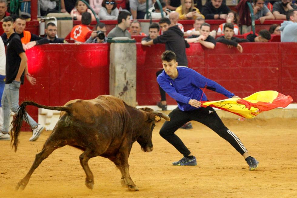 Séptima mañana de vaquillas.
