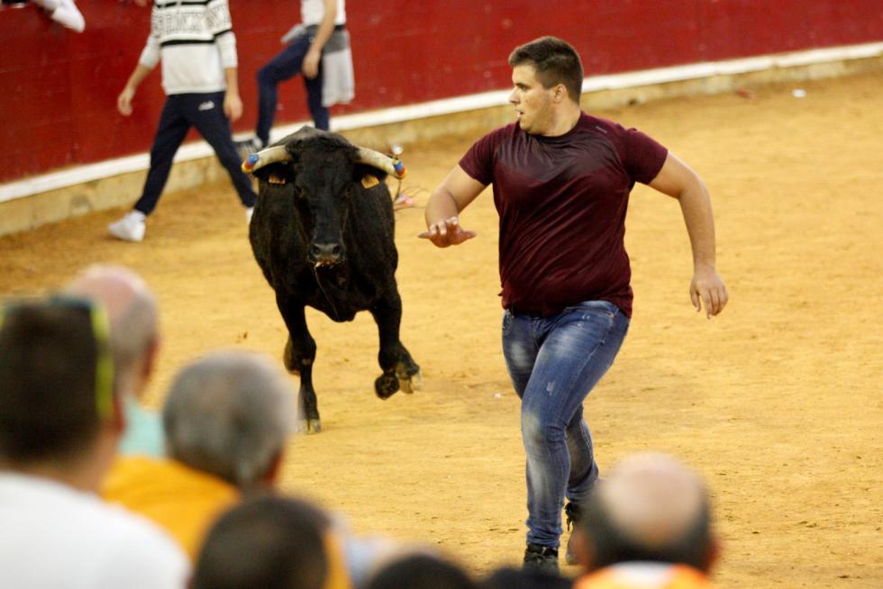 Séptima mañana de vaquillas.