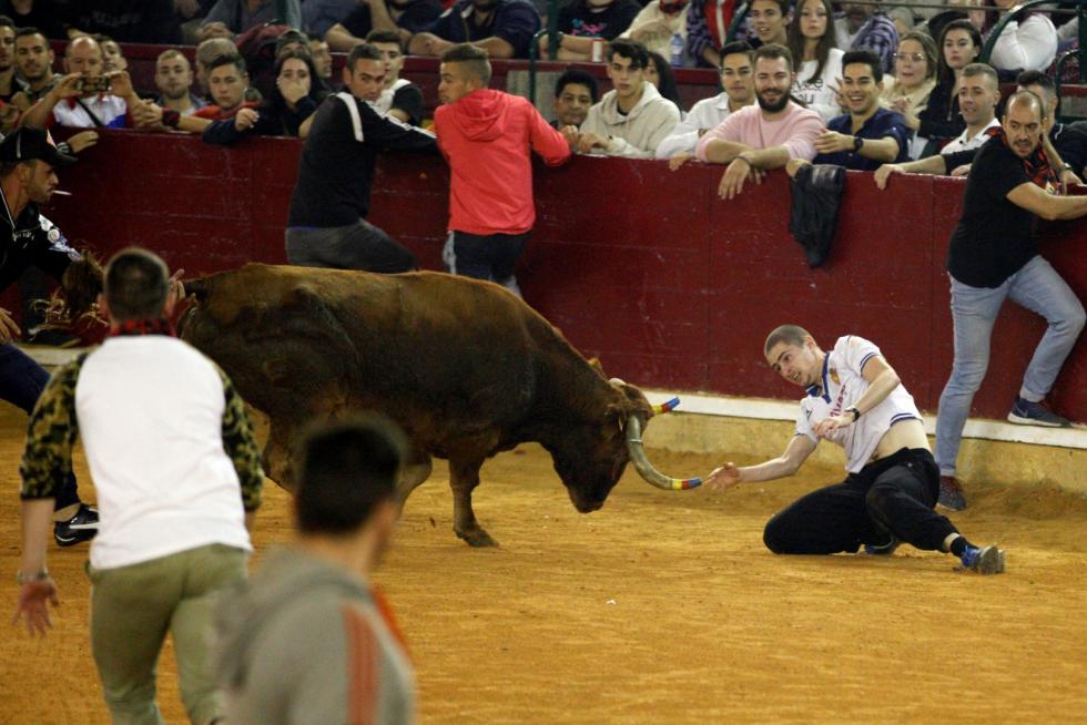 Séptima mañana de vaquillas.