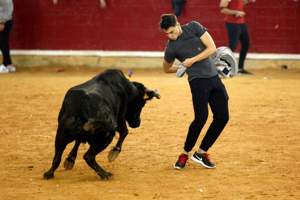 Séptima mañana de vaquillas.