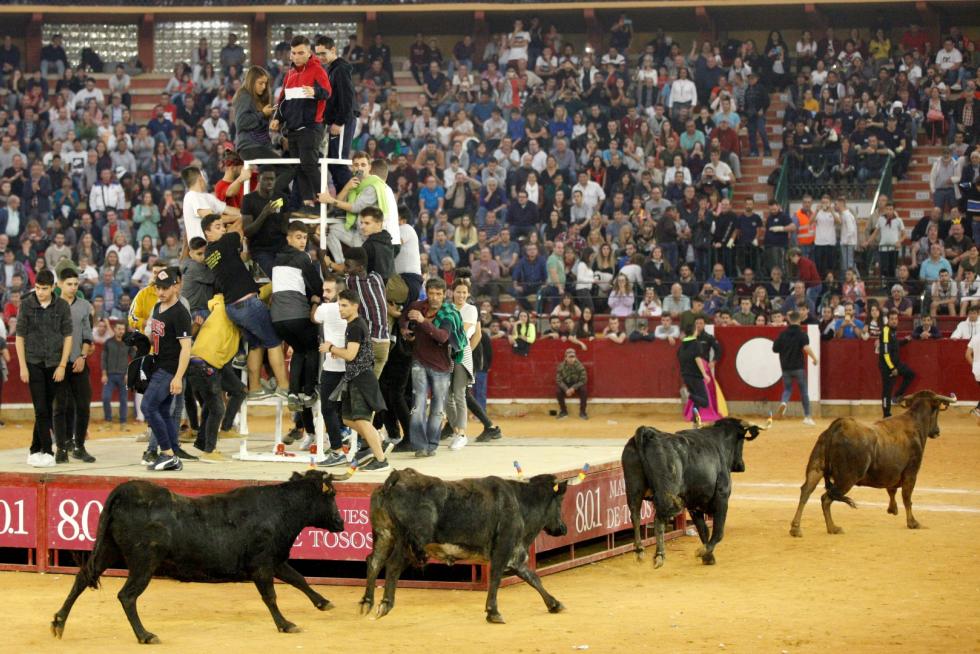 Séptima mañana de vaquillas.