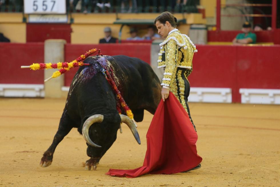 Cogida a Mariano de la Viña, subalterno de Enrique Ponce.