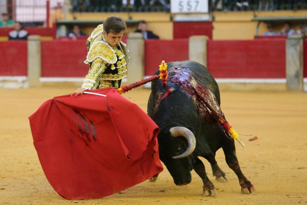 Cogida a Mariano de la Viña, subalterno de Enrique Ponce.