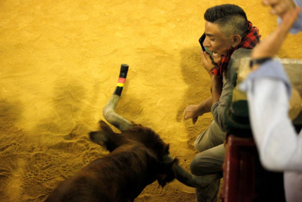 Lleno en la Misericordia para despedir las vaquillas de las fiestas del Pilar 2019.