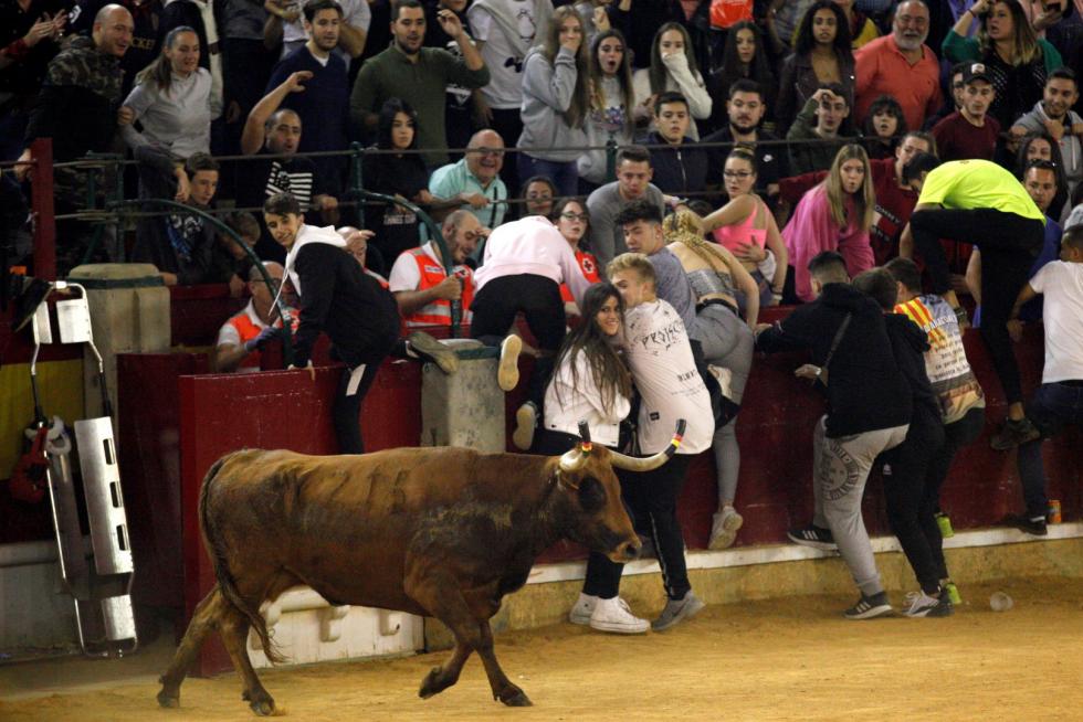 Lleno en la Misericordia para despedir las vaquillas de las fiestas del Pilar 2019.