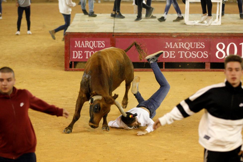 Lleno en la Misericordia para despedir las vaquillas de las fiestas del Pilar 2019.