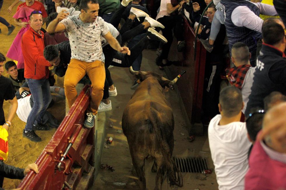 Lleno en la Misericordia para despedir las vaquillas de las fiestas del Pilar 2019.