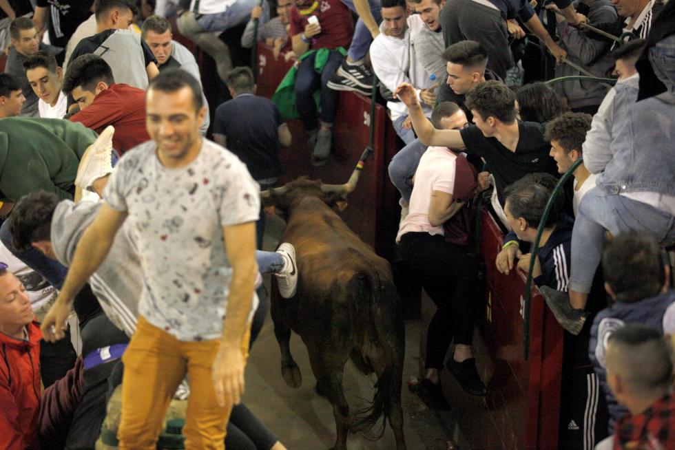 Lleno en la Misericordia para despedir las vaquillas de las fiestas del Pilar 2019.