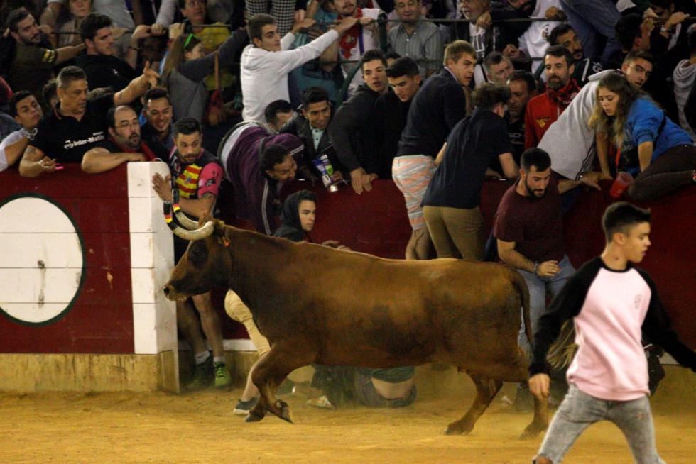 Lleno en la Misericordia para despedir las vaquillas de las fiestas del Pilar 2019.