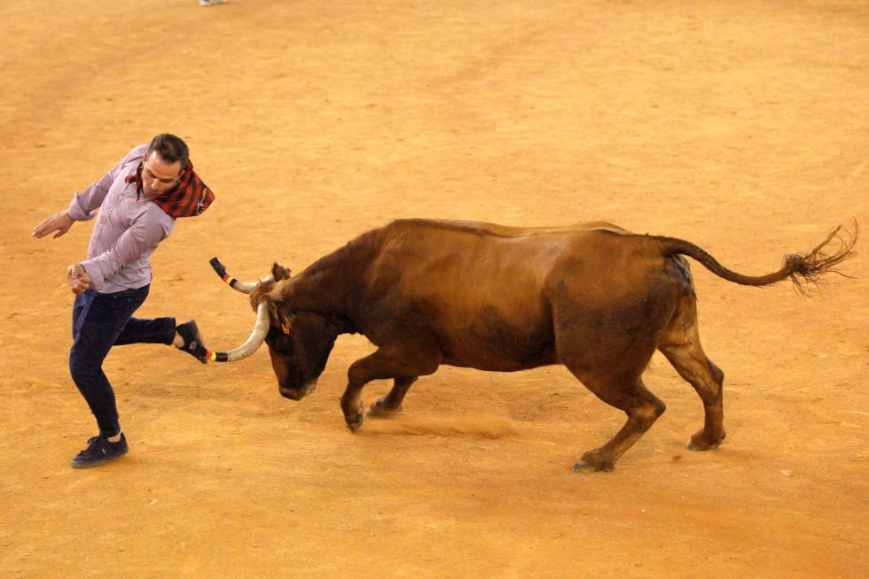 Lleno en la Misericordia para despedir las vaquillas de las fiestas del Pilar 2019.