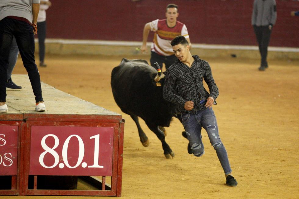 Lleno en la Misericordia para despedir las vaquillas de las fiestas del Pilar 2019.