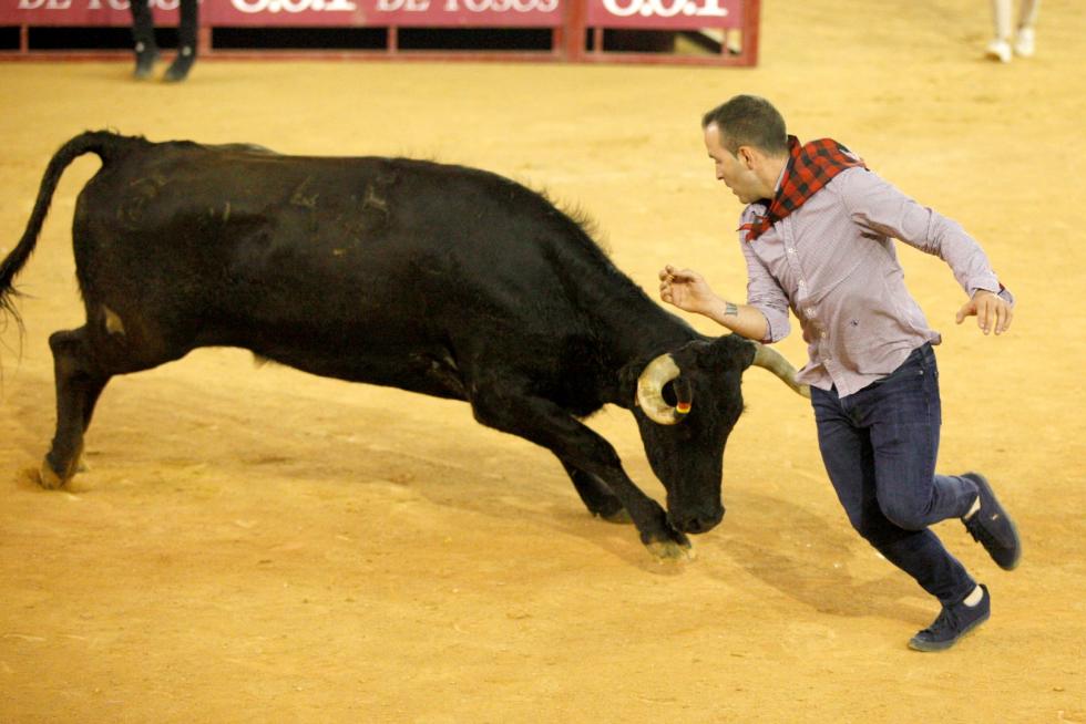 Lleno en la Misericordia para despedir las vaquillas de las fiestas del Pilar 2019.