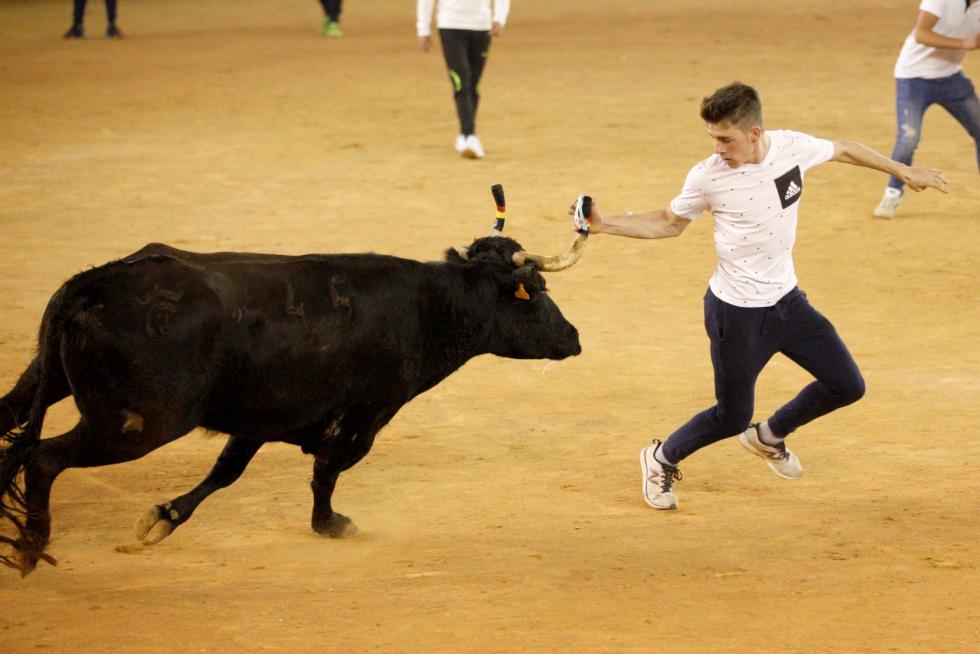 Lleno en la Misericordia para despedir las vaquillas de las fiestas del Pilar 2019.