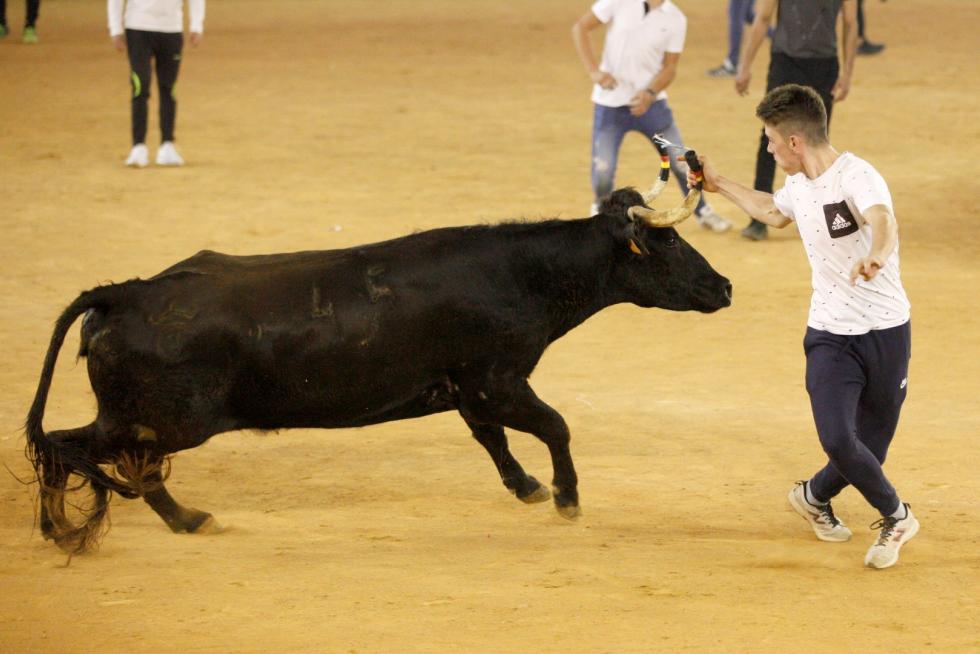 Lleno en la Misericordia para despedir las vaquillas de las fiestas del Pilar 2019.