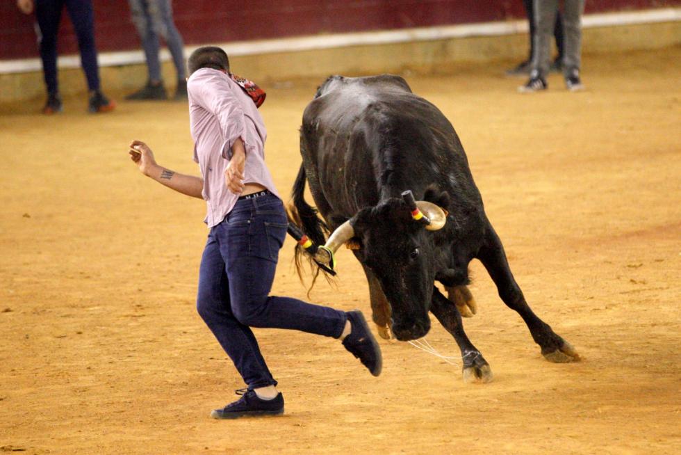 Lleno en la Misericordia para despedir las vaquillas de las fiestas del Pilar 2019.