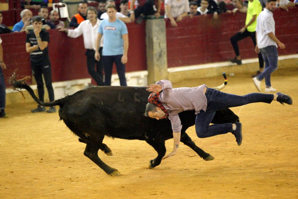 Lleno en la Misericordia para despedir las vaquillas de las fiestas del Pilar 2019.