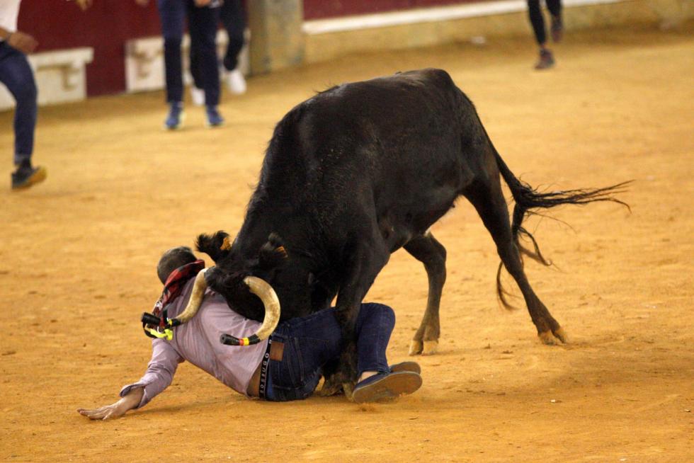 Lleno en la Misericordia para despedir las vaquillas de las fiestas del Pilar 2019.