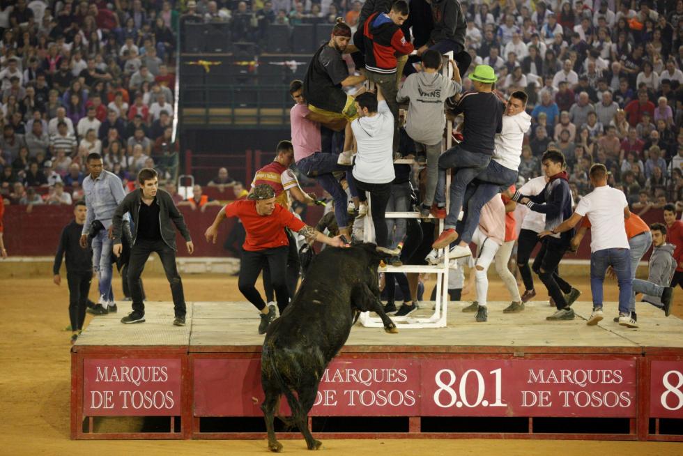Lleno en la Misericordia para despedir las vaquillas de las fiestas del Pilar 2019.