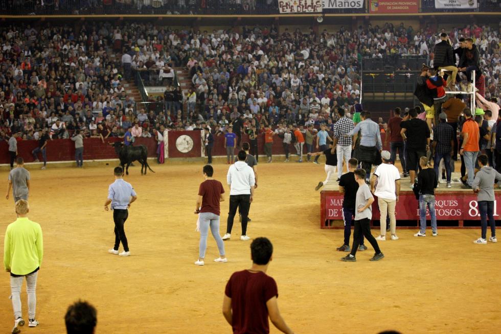 Lleno en la Misericordia para despedir las vaquillas de las fiestas del Pilar 2019.