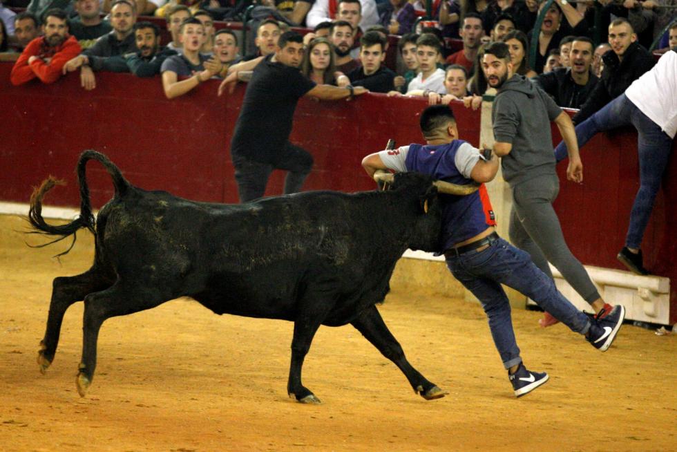 Lleno en la Misericordia para despedir las vaquillas de las fiestas del Pilar 2019.