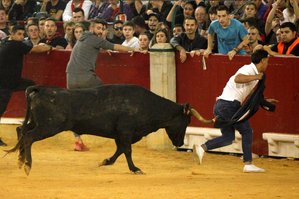 Lleno en la Misericordia para despedir las vaquillas de las fiestas del Pilar 2019.