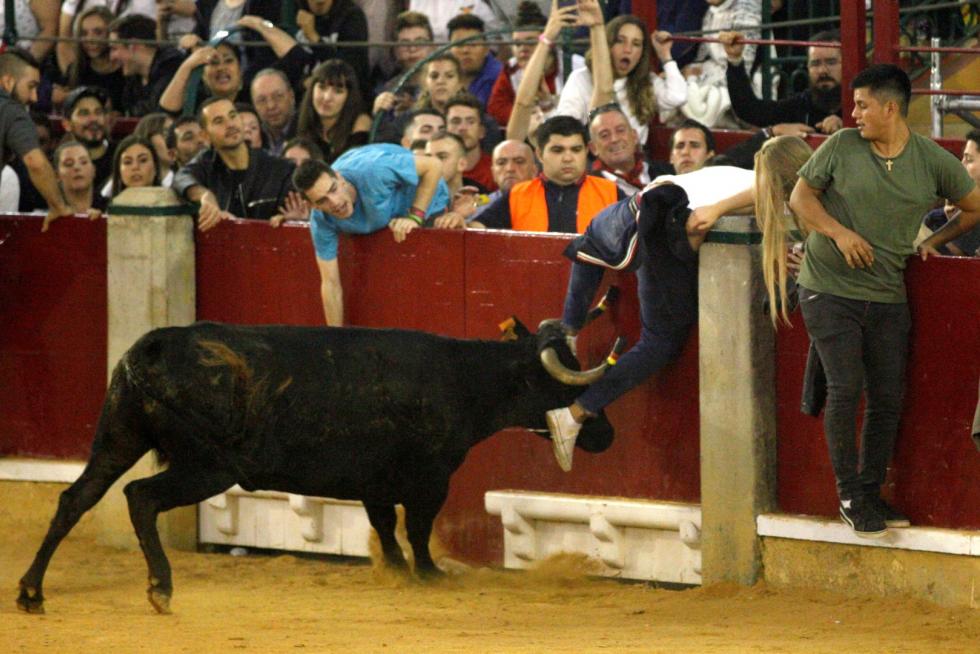 Lleno en la Misericordia para despedir las vaquillas de las fiestas del Pilar 2019.