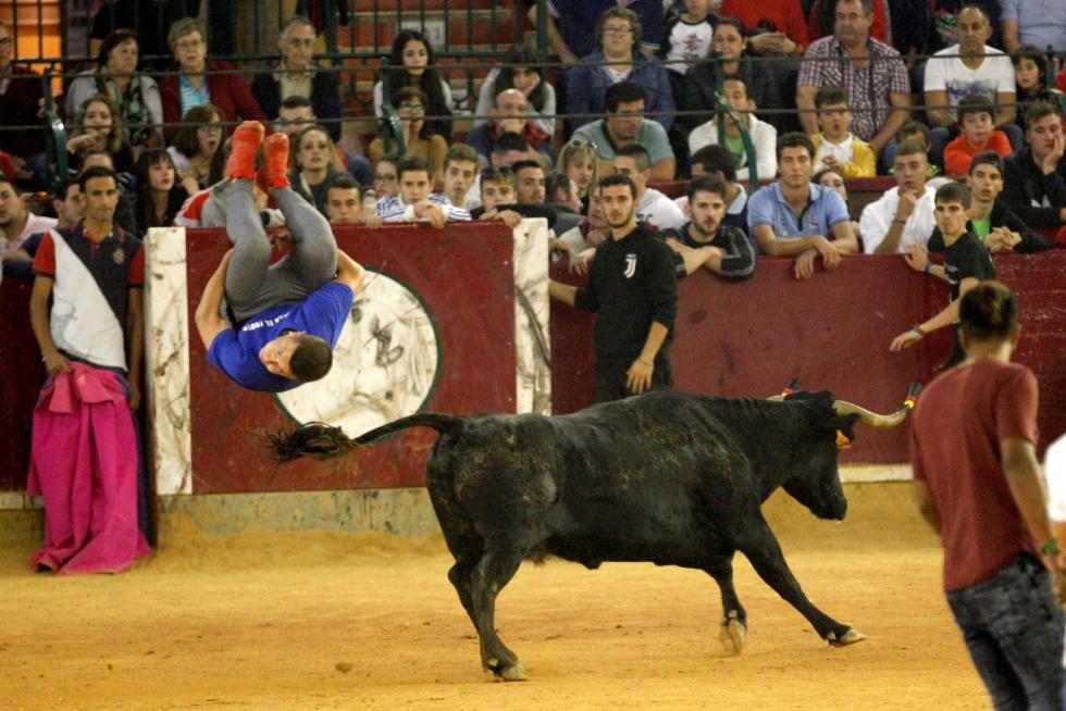 Lleno en la Misericordia para despedir las vaquillas de las fiestas del Pilar 2019.