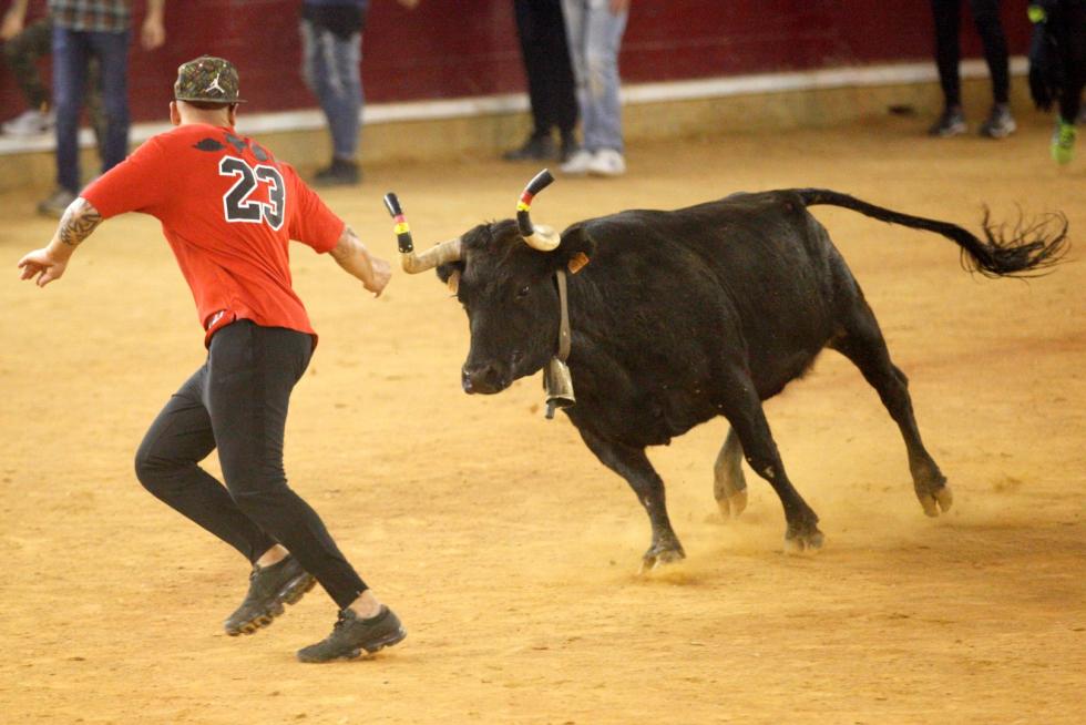 Lleno en la Misericordia para despedir las vaquillas de las fiestas del Pilar 2019.